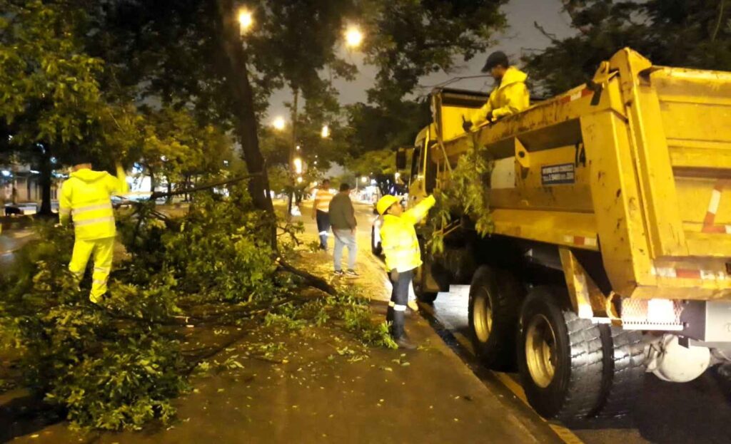 Segura EP coordinó con entidades municipales para generar la limpieza de sumideros y retiro de árboles caídos. 