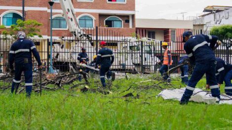 Personal municipal trabaja en la recuperación de las áreas verdes del parque Forestal.