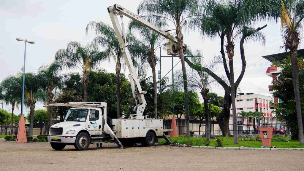 Los trabajos incluyen limpieza, desbroce, desalojo, poda fitosanitaria y mantenimiento agronómico. 