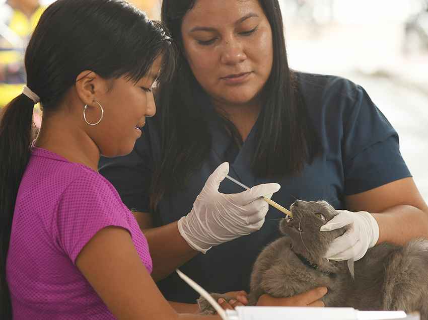 La Activación Ciudadana incluyó atención veterinaria para perros y gatos.  