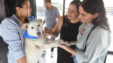 La jornada de adopción en Guayarte permitió que 24 cachorros tengan un nuevo hogar.