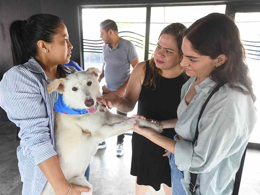 La jornada de adopción en Guayarte permitió que 24 cachorros tengan un nuevo hogar.