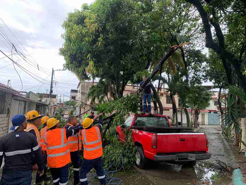 La Dirección de Medio Ambiente del Municipio de Guayaquil 