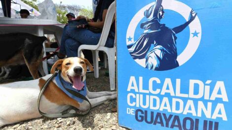 El curso está dirigido a quienes se dedican al rescate, albergue, activismo o cuidado de los animales.