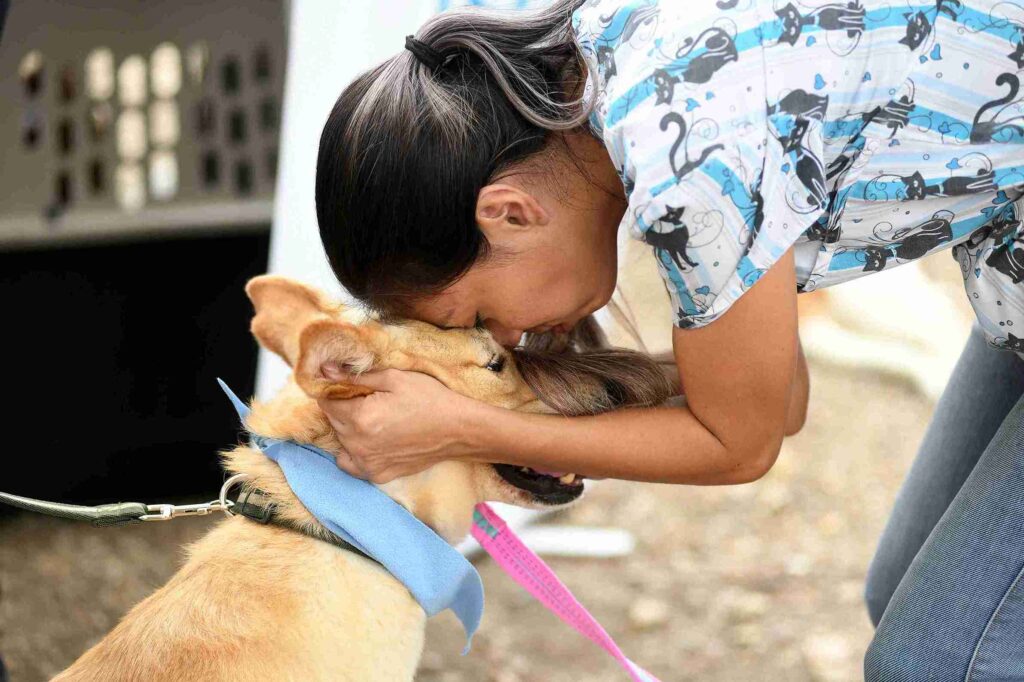 El curso es gratuito e incluye el aprendizaje de rescate y primeros auxilios para animales en situación de riesgo o abandono. 