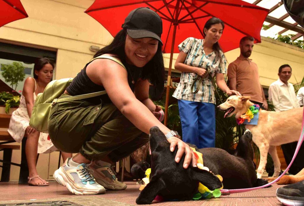 Con esta iniciativa, la Alcaldía Ciudadana busca sensibilizar a la población sobre la importancia del cuidado y protección de los animales.