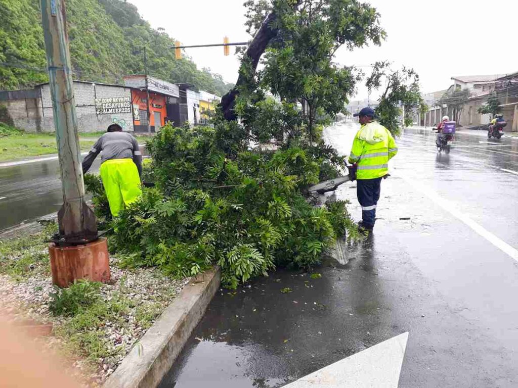 Cuadrillas atendieron el llamado de la ciudadanía por las caída de árboles provocadas por las lluvias. 