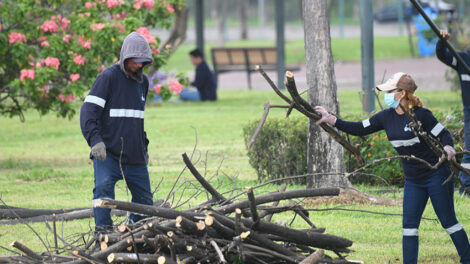 Las labores de mantenimiento en Parque Samanes han avanzado en un 60%.