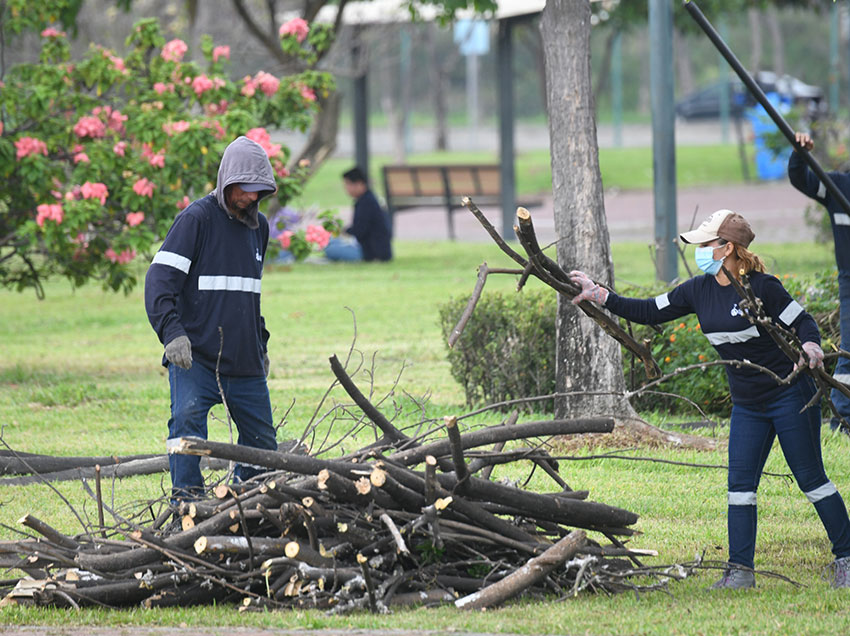 Las labores de mantenimiento en Parque Samanes han avanzado en un 60%.