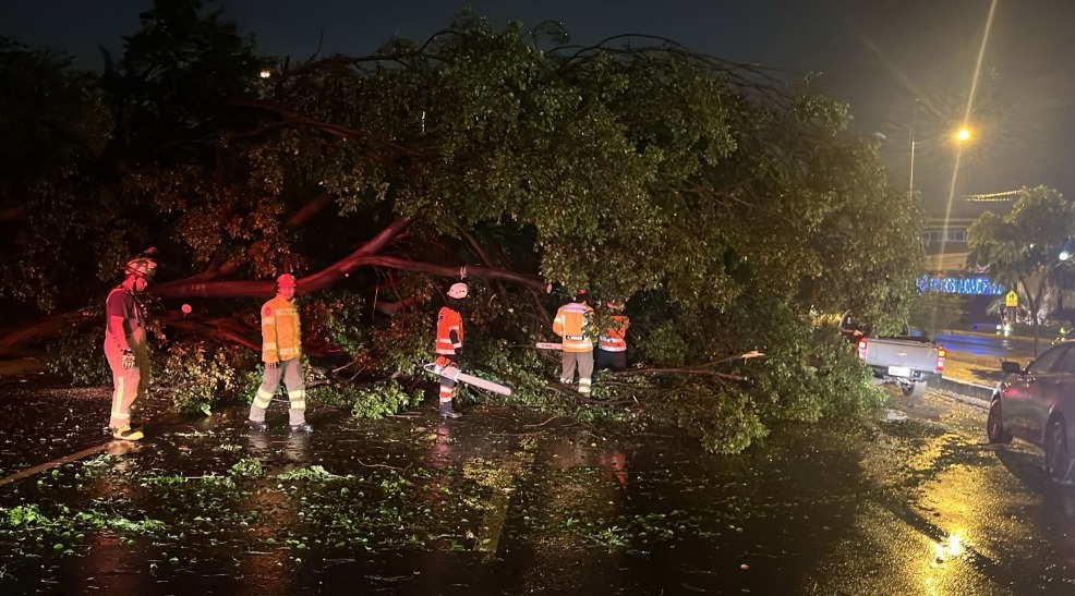 La lluvia de las últimas horas provocó caída de árboles en siete puntos de Guayaquil.