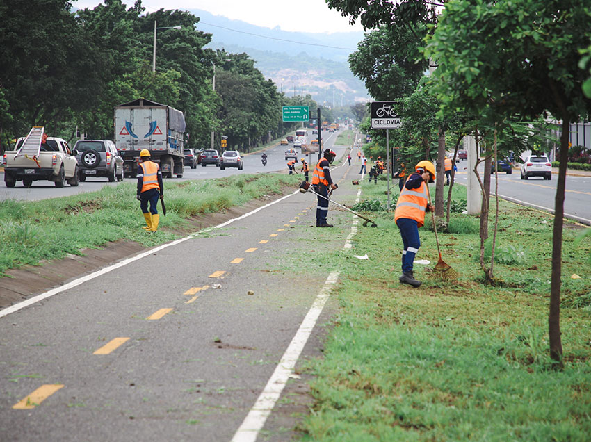 Los trabajos sirven para preservar el medio ambiente de Vía a la Costa.