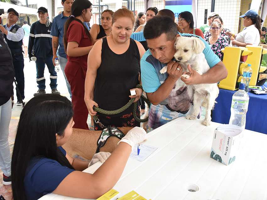 La Dirección de Bienestar Animal desparasitó a más de 80 animales de compañía en el lugar. 