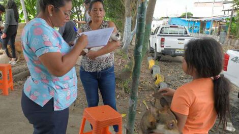 Bienestar Animal realizó una importante campaña en Monte Sinaí.