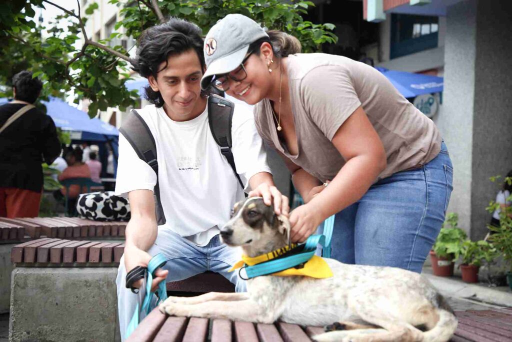 Bienestar Animal realizó una jornada de adopciones en la calle Panamá. 