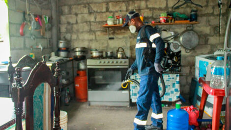 Una brigada de salud realizó tareas de fumigación.