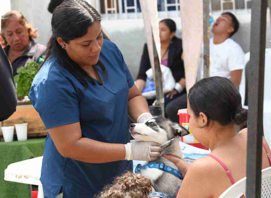 Bienestar Animal brindó asistencia a los animales de compañía.