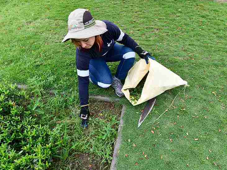 17 mujeres realizan trabajos agronómicos en el Parque Samanes de Guayaquil.