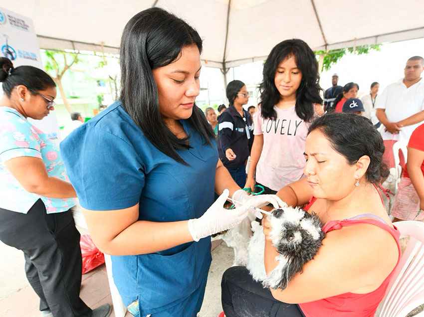 Bienestar Animal llevó a cabo una desparasitación de perros y gatos.