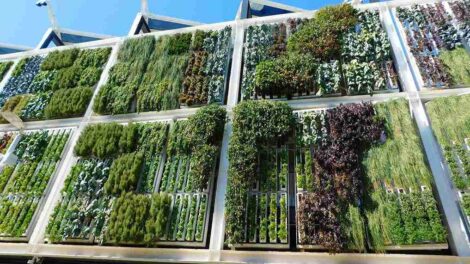 La propuesta de jardines verticales con hojas fotovoltaicas convierte la energía sola en electricidad y embellece el paisaje urbano de las ciudades.