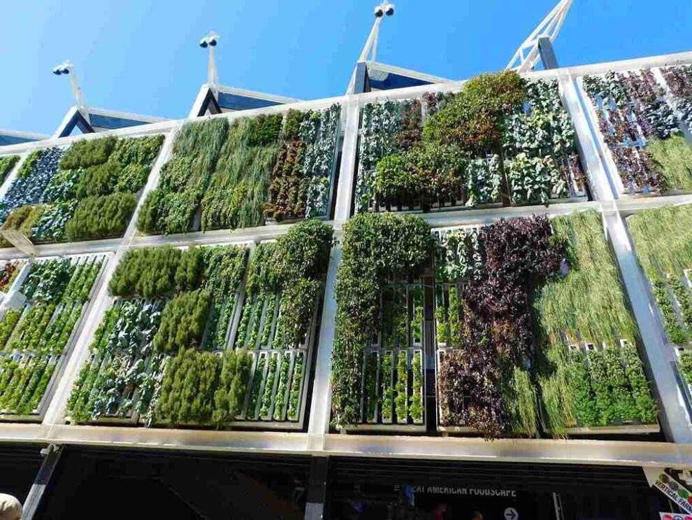 La propuesta de jardines verticales con hojas fotovoltaicas convierte la energía sola en electricidad y embellece el paisaje urbano de las ciudades.