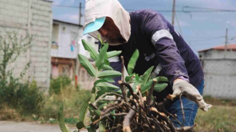 El Municipio de Guayaquil interviene en más de 40 parques y áreas verdes en Villa Bonita y Mi Lote.