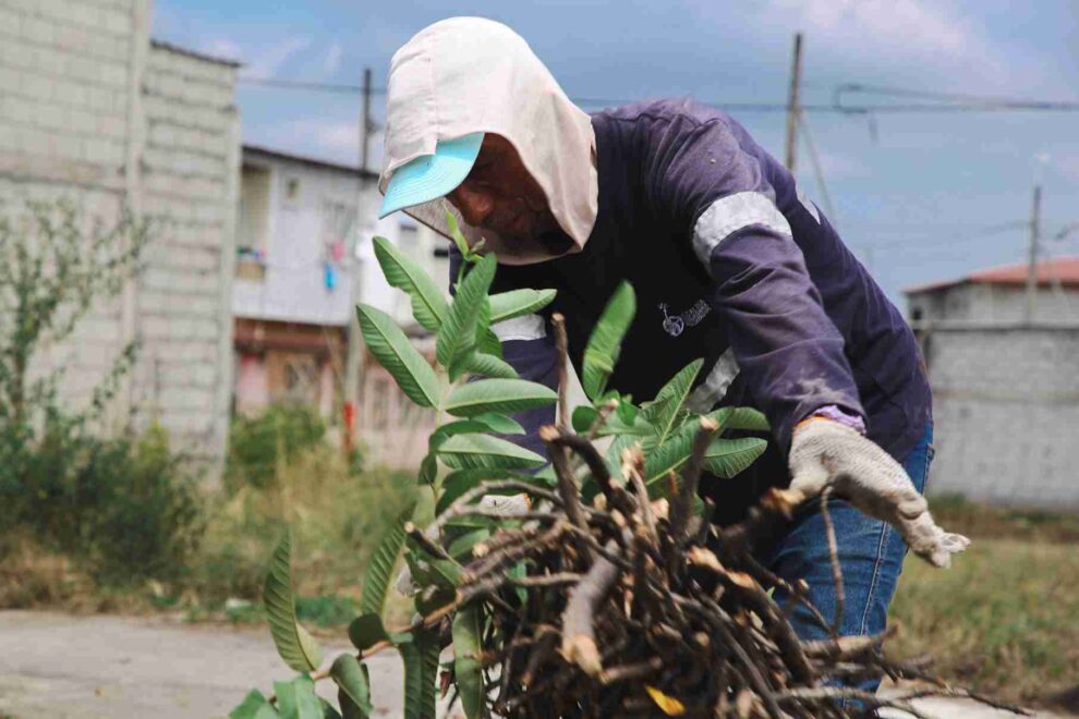 El Municipio de Guayaquil interviene en más de 40 parques y áreas verdes en Villa Bonita y Mi Lote.