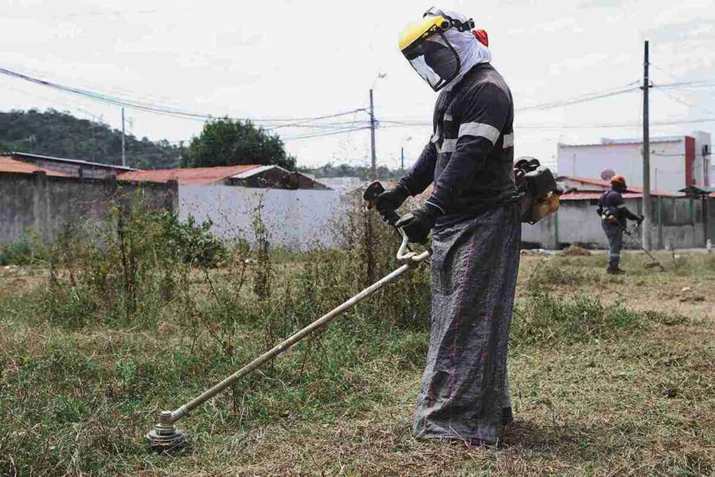 La Alcaldía prioriza la recuperación de espacios verdes para combatir la plaga de la cochinilla.