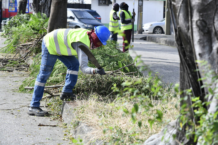 Un trabajador realiza trabajo de desbroce en las áreas verdes de la ciudadela. 