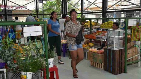 Mercado San Gregorio Guasmo Sur