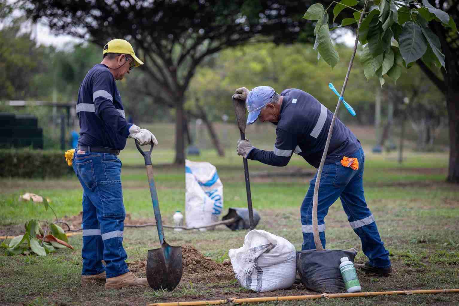 Parques EP realiza mantenimiento agronómico en las áreas verdes.