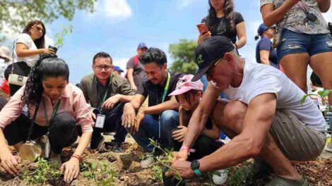 Siembra árboles nativos Guayaquil