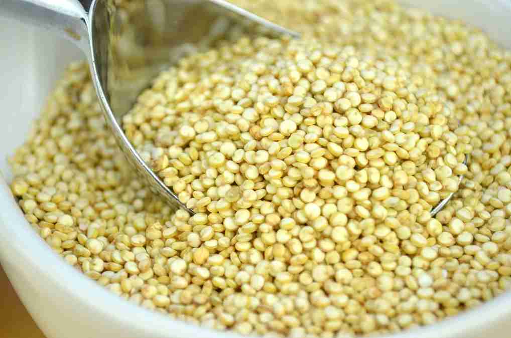 La quinoa es fuente natural de inhibidores de proteasas serina.