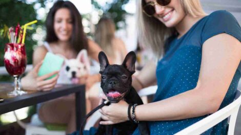 tendencia pet friendly Ecuador