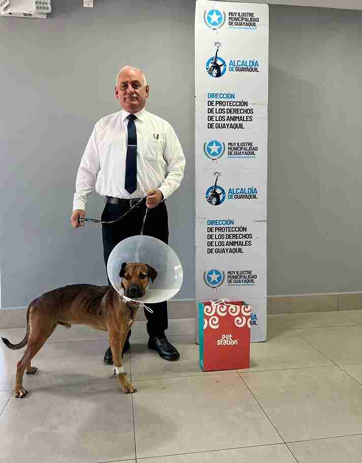 Juan Carlos Peña, un funcionario de la Dirección de Aviación Civil, adoptó al perrito y lo llevó a su casa.