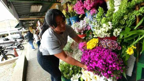 El Mercado de Flores