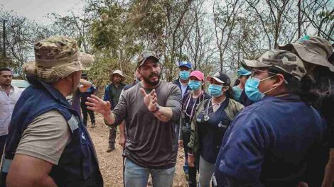 Municipio de Guayaquil rescata animales afectados por incendio forestal en Cerro Azul