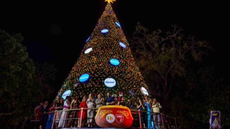 Encendido del árbol de Navidad