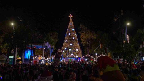 Guayaquil abre sus puertas para celebrar la Navidad