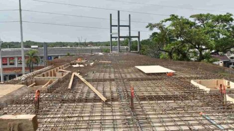 Pasos elevados en la vía a la Costa