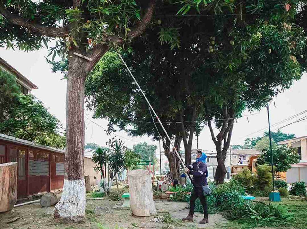 Guayaquil refuerza el mantenimiento de parques con jornada de limpieza en Guayacanes