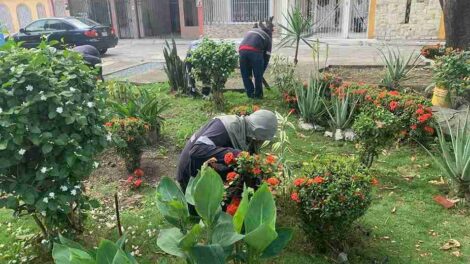 Guayaquil renueva más de 100 parques