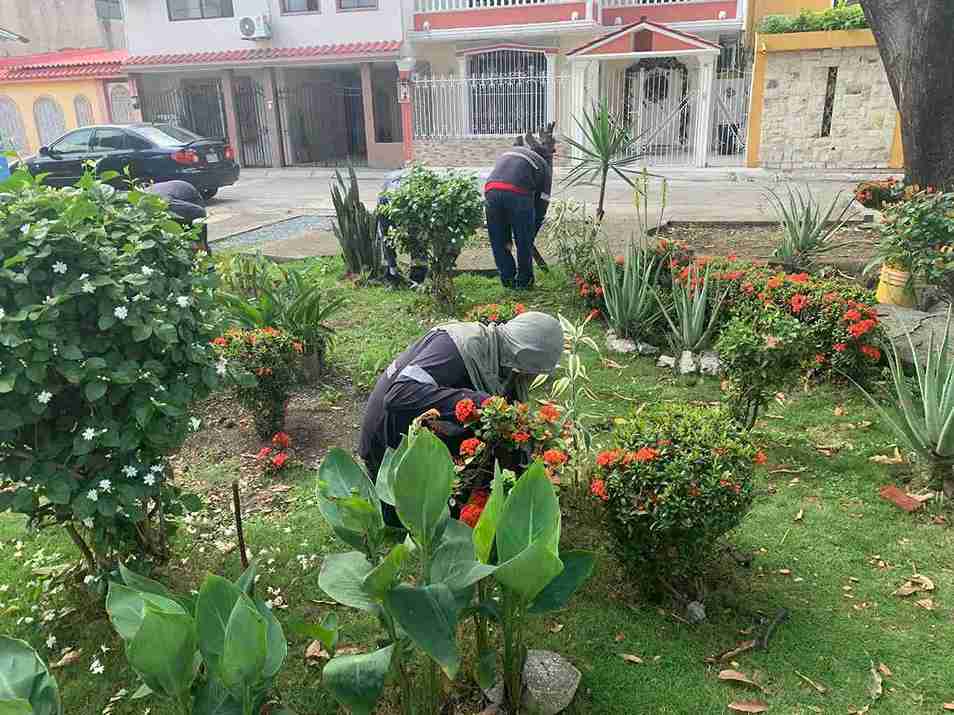 Guayaquil renueva más de 100 parques