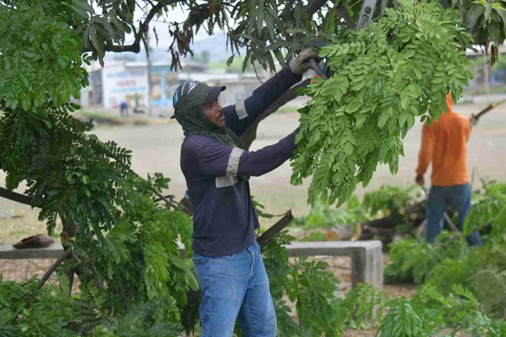 Espacios públicos en Monte Sinaí