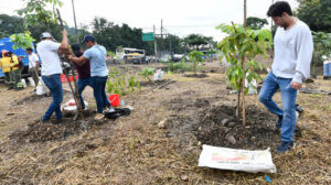 500 ciudadanos plantan 800 árboles