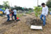 500 ciudadanos plantan 800 árboles