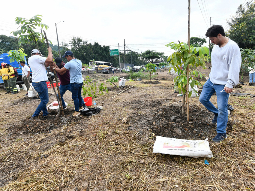 500 ciudadanos plantan 800 árboles