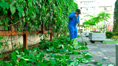 Parques EP asumirá el mantenimiento agronómico en zonas regeneradas de Guayaquil