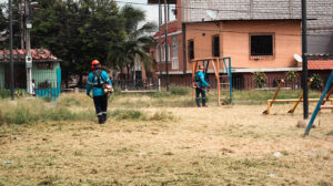 ciudad Cuadrillas de Parques EP revitalizan Guayaquil con siembra, poda y pintura en áreas verdes, transformando el espacio público con trabajo diario y compromiso.