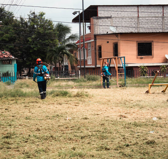 ciudad Cuadrillas de Parques EP revitalizan Guayaquil con siembra, poda y pintura en áreas verdes, transformando el espacio público con trabajo diario y compromiso.