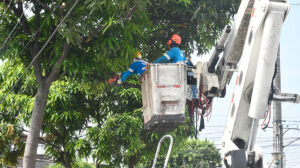 Rehabilitación de Áreas Verdes en el Parque de la Amistad